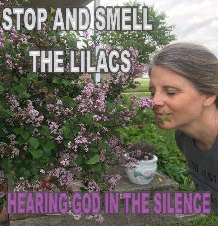 STOP AND SMELL THE LILACS PHOTO