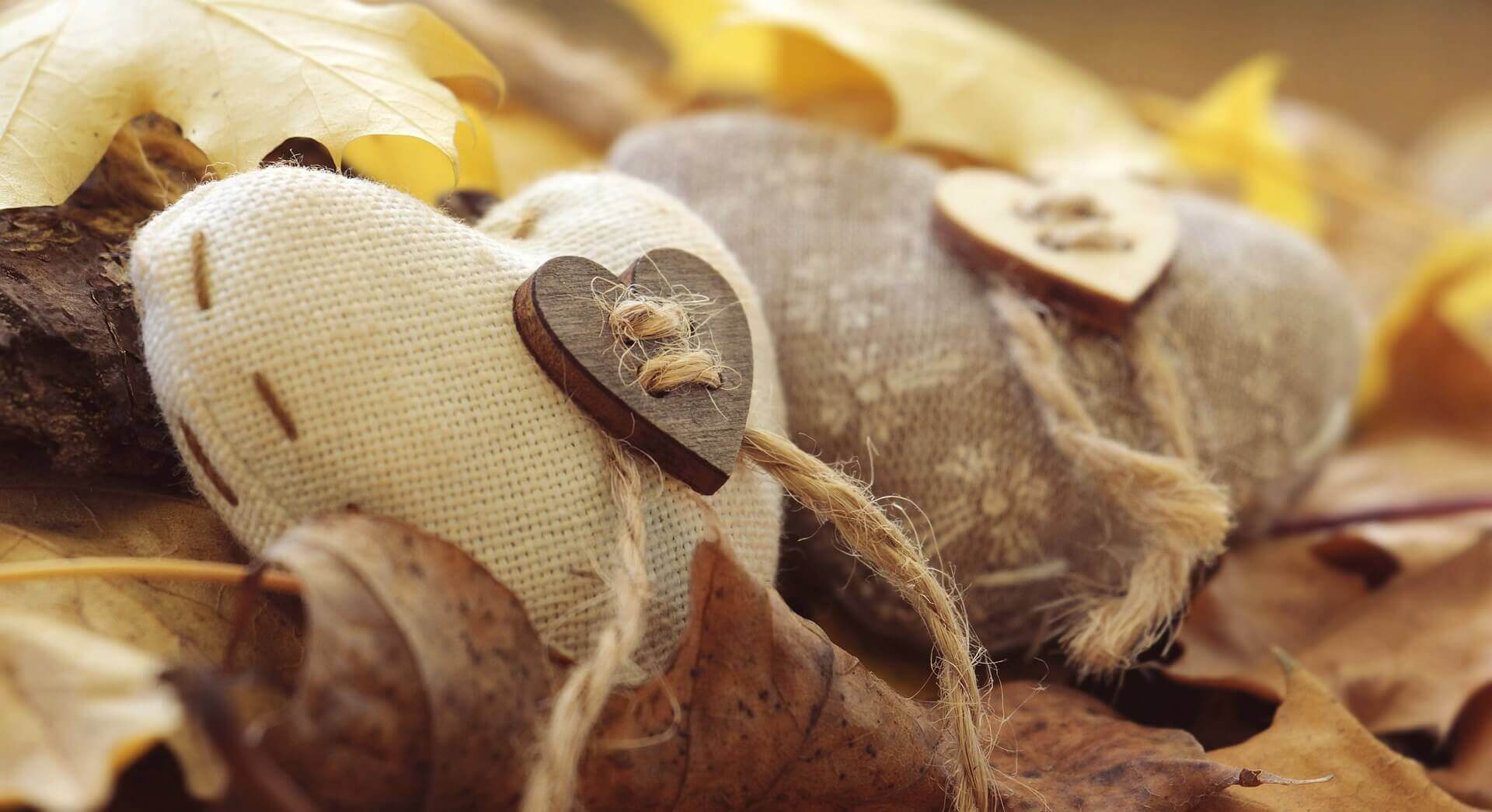 Love is Always About the Heart