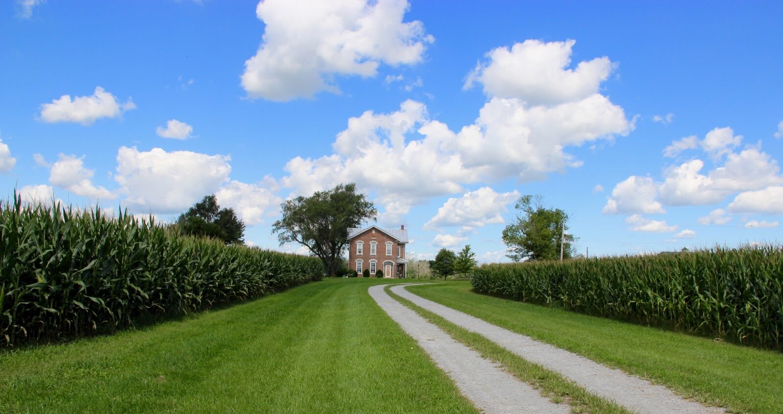 VFM_DrivewayHome_About