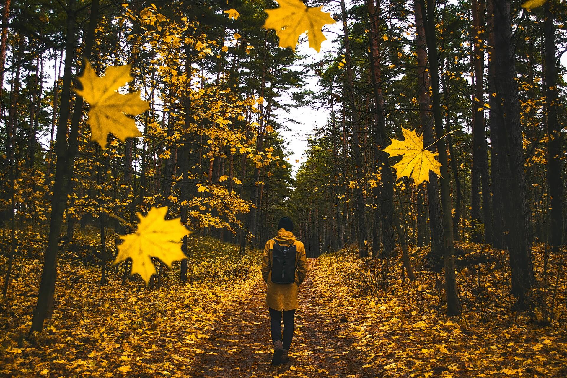 following in Jesus' steps