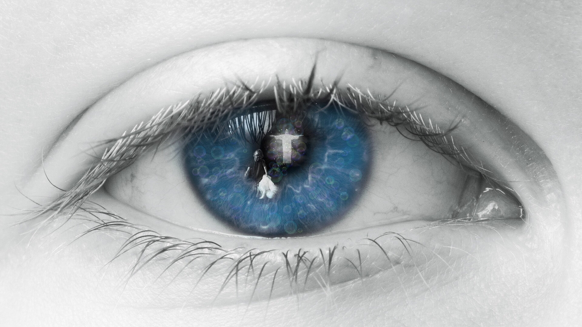 Made in the Image of God