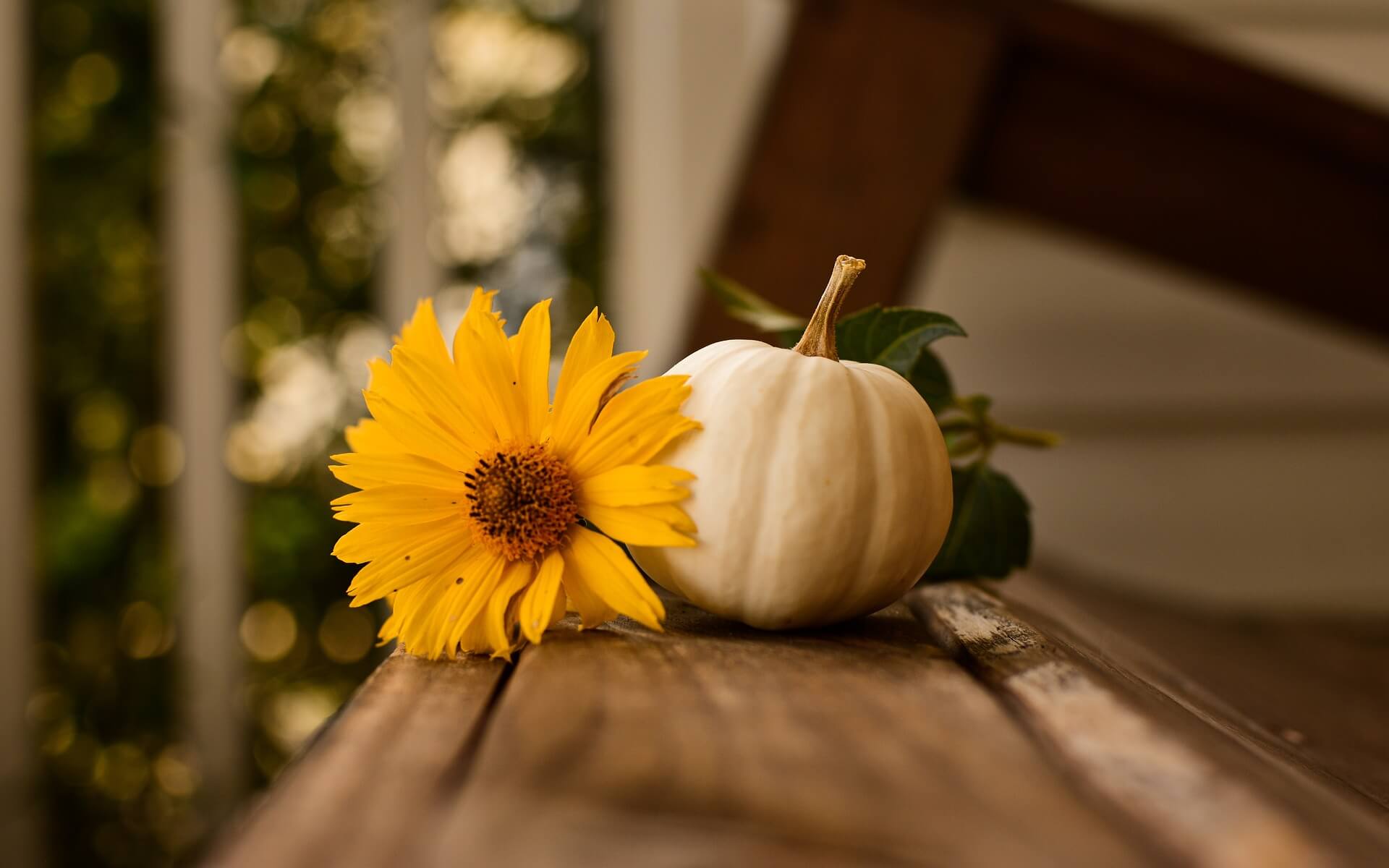 Thanksgiving