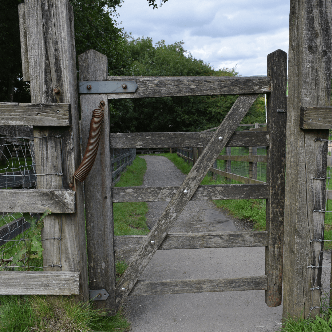 Choosing the Wide or Narrow Gate