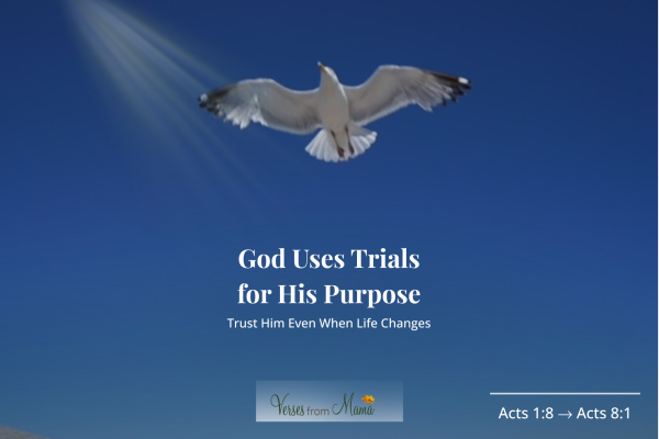God Uses Trials For His Purpose