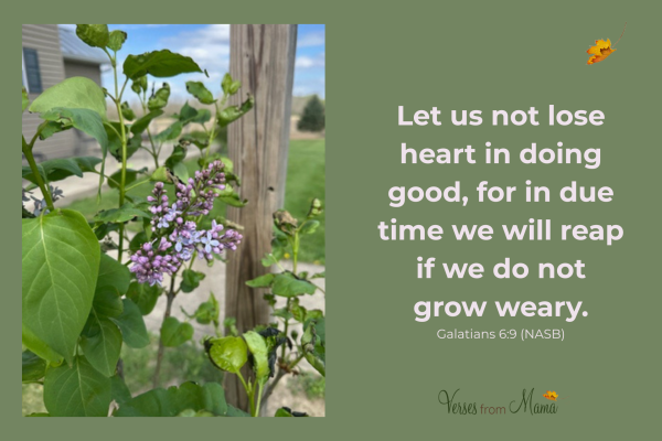 Do not grow weary in doing good