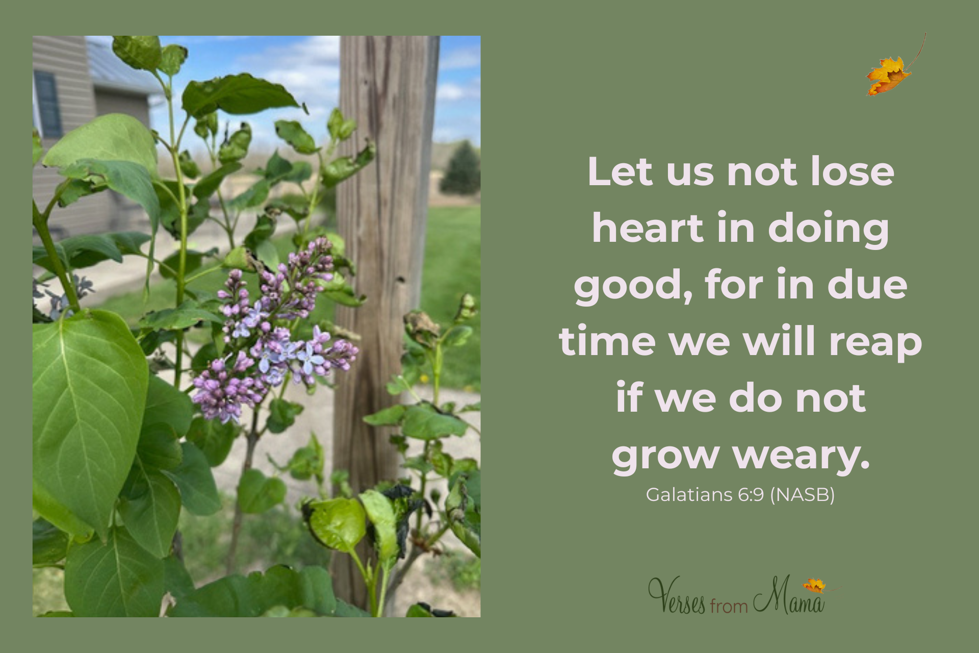 Do not grow weary in doing good