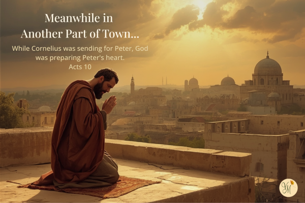 God Prepares the Way