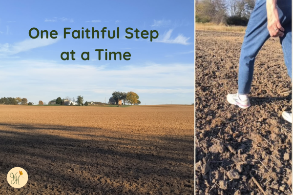 Walking through a freshly tilled farm field, illustrating faithful service and perseverance as part of God's royal priesthood.